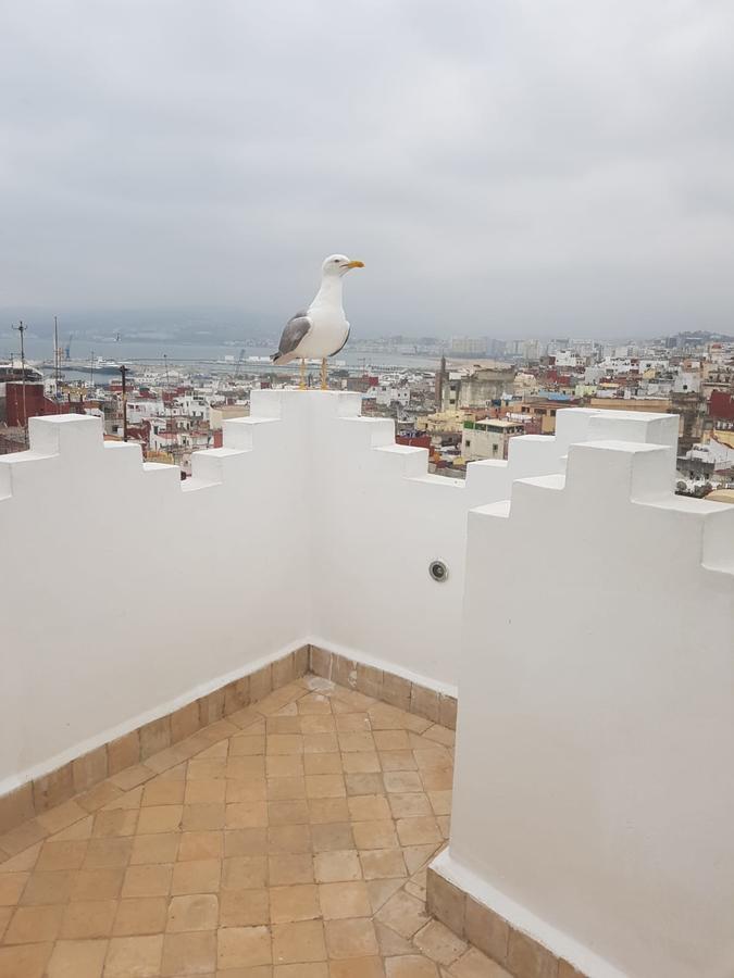 Maison Medina, Terrasse Panoramique, Vue Mer タンジェ エクステリア 写真